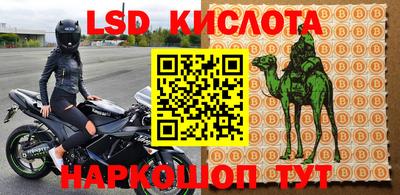 СК Ирбит