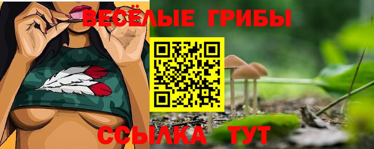 Электросталь  Псилоцибиновые грибы Psilocybine cubensis  Вход с VPN 